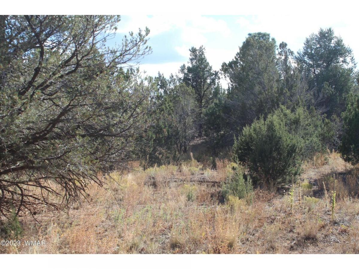 Picture of Residential Land For Sale in Vernon, Arizona, United States