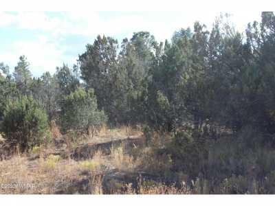 Residential Land For Sale in Vernon, Arizona