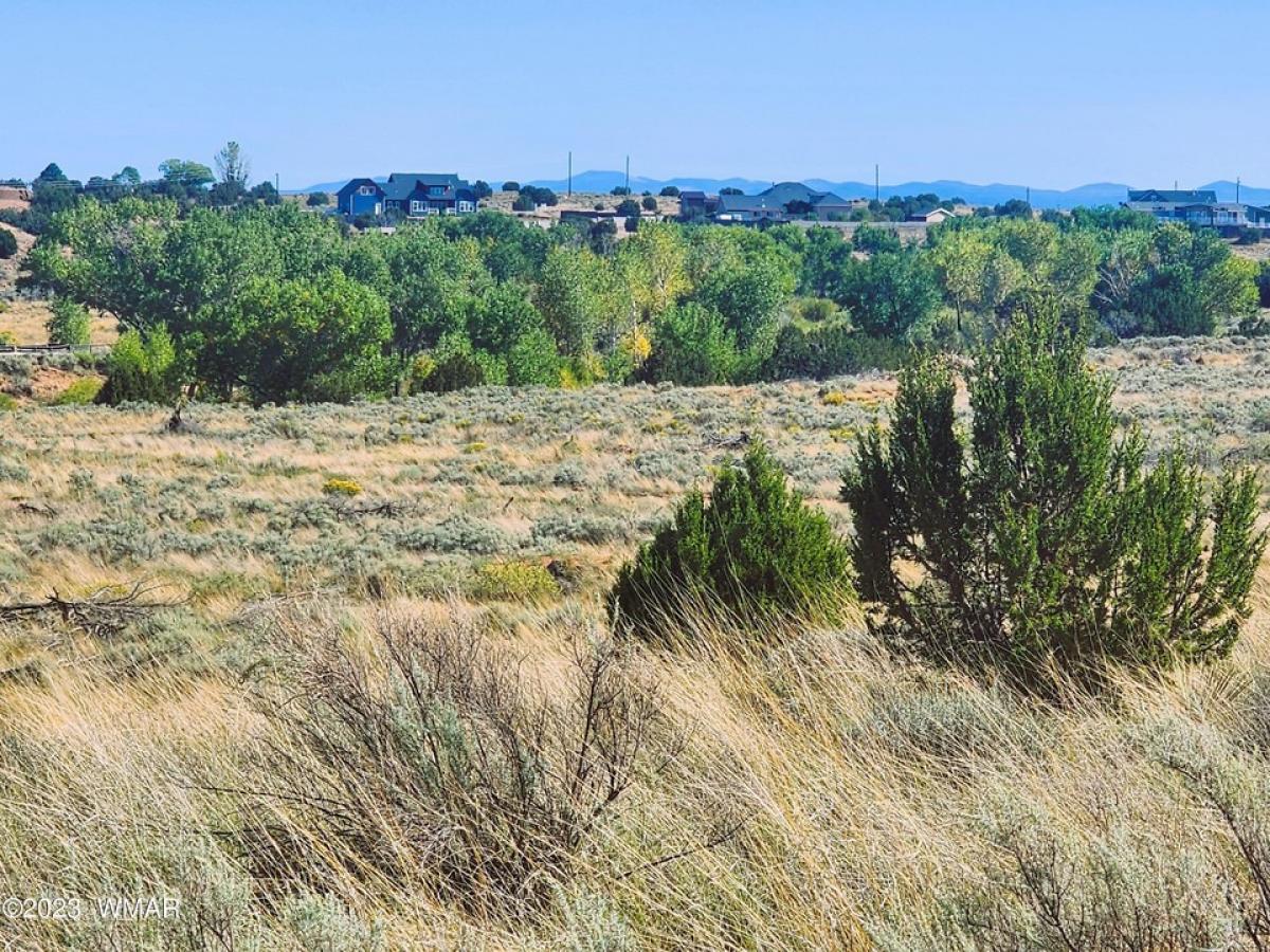 Picture of Residential Land For Sale in Snowflake, Arizona, United States