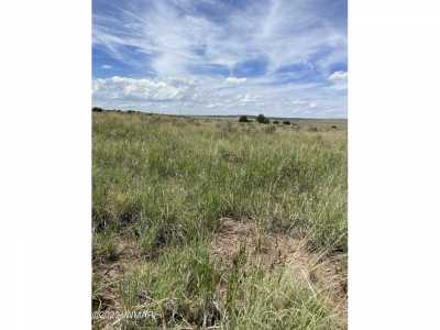 Residential Land For Sale in Saint Johns, Arizona