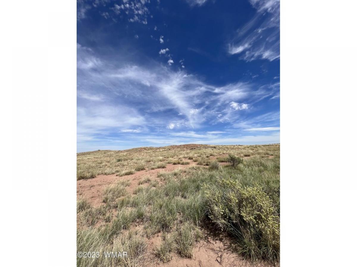 Picture of Residential Land For Sale in Chambers, Arizona, United States