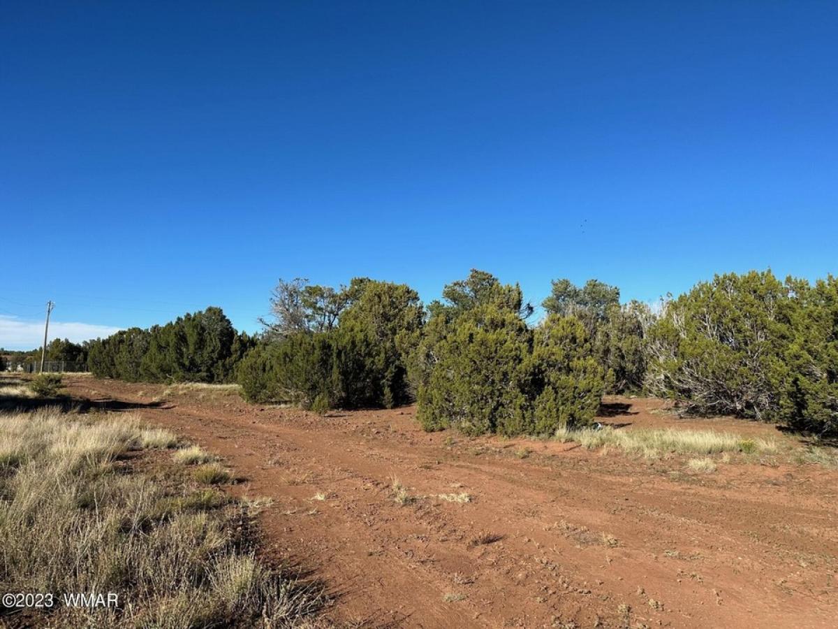 Picture of Residential Land For Sale in Vernon, Arizona, United States