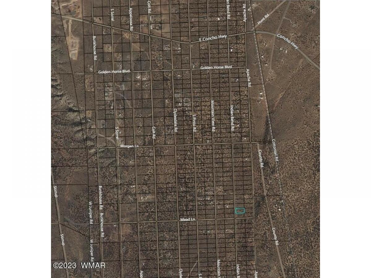 Picture of Residential Land For Sale in Snowflake, Arizona, United States