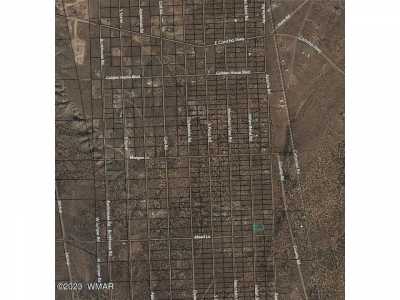 Residential Land For Sale in Snowflake, Arizona