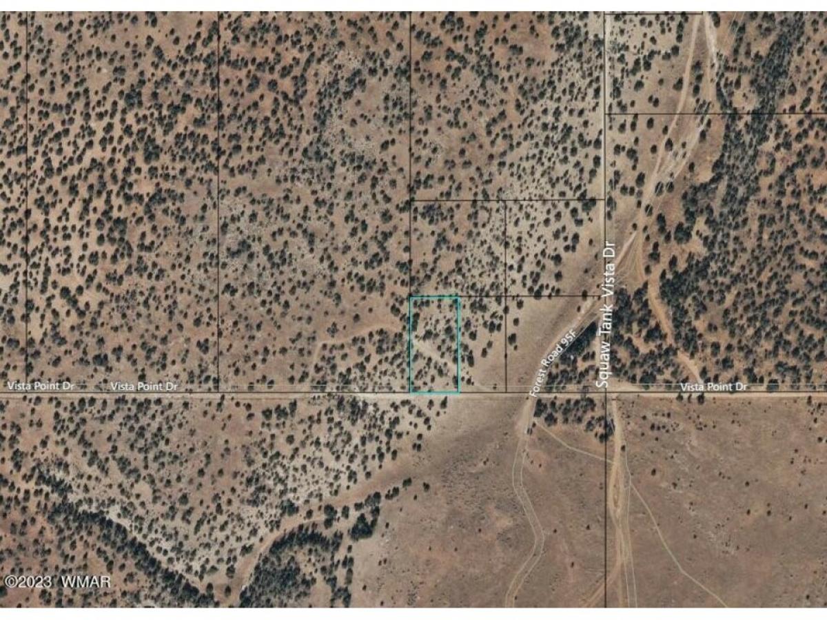 Picture of Residential Land For Sale in Heber, Arizona, United States