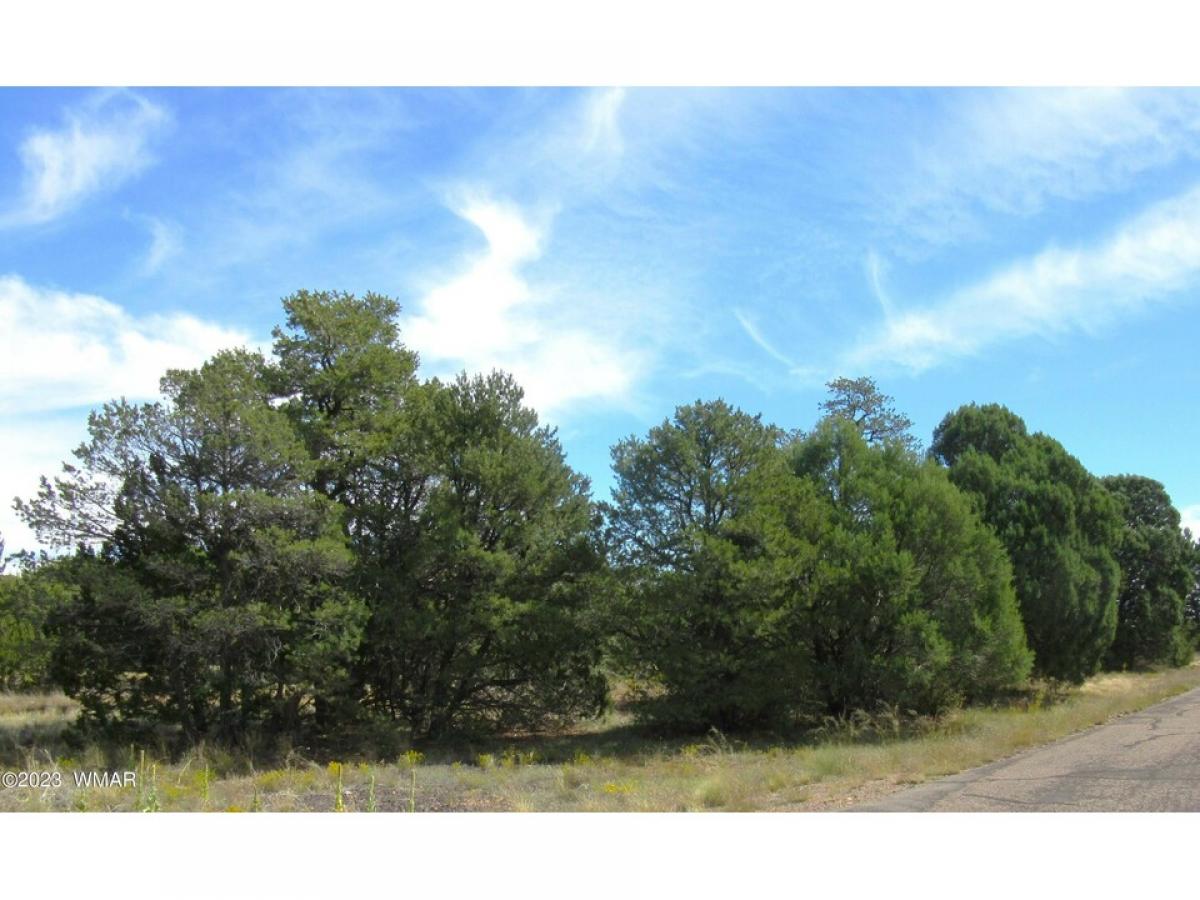 Picture of Residential Land For Sale in Heber, Arizona, United States