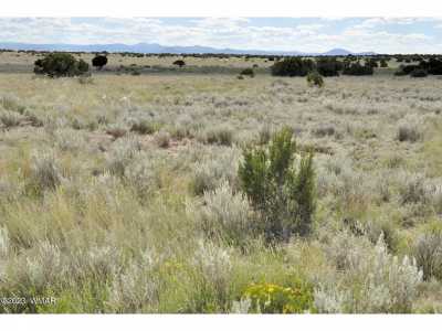 Residential Land For Sale in Saint Johns, Arizona