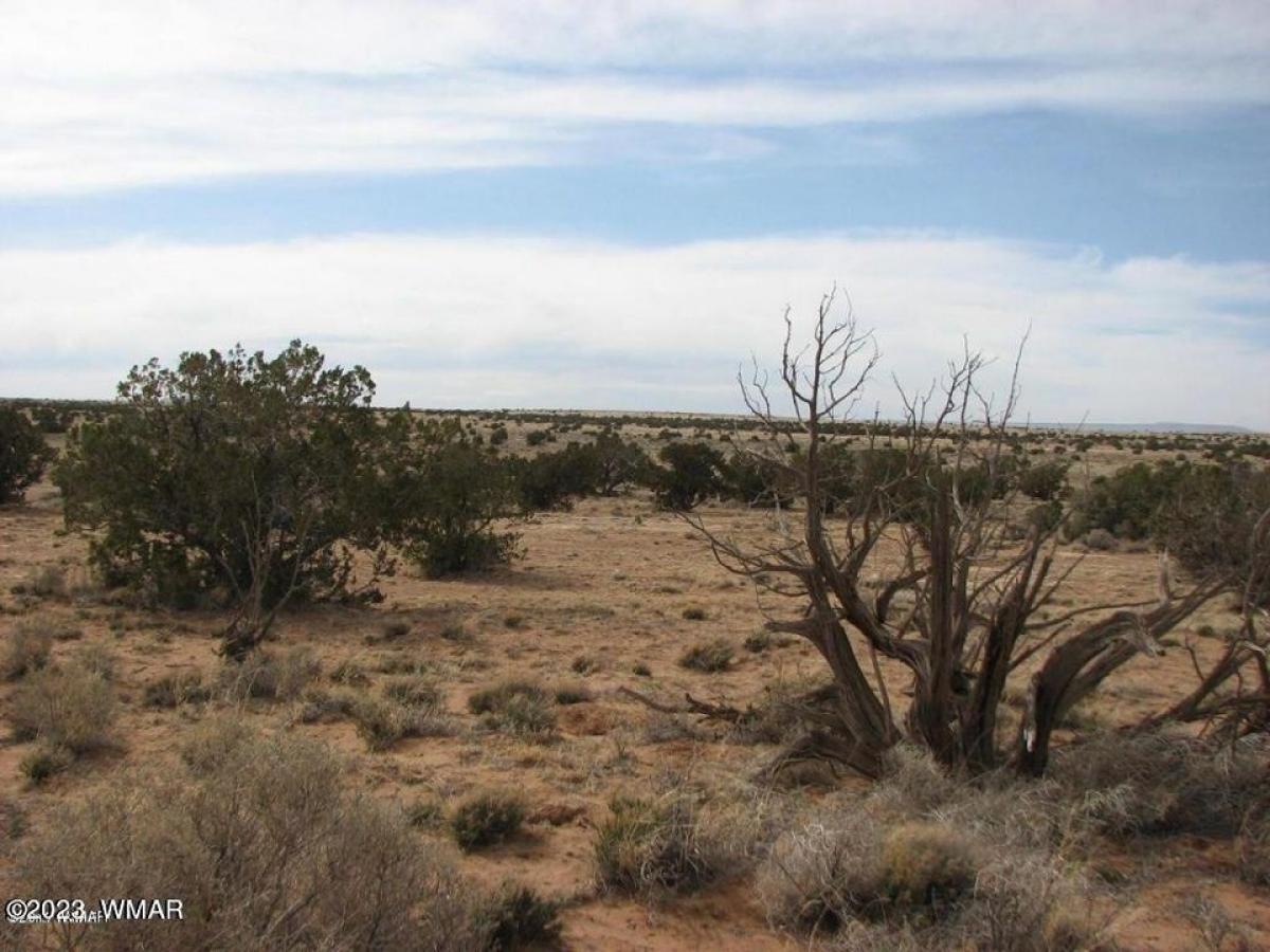 Picture of Residential Land For Sale in Heber, Arizona, United States