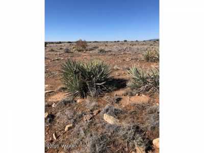 Residential Land For Sale in Heber, Arizona