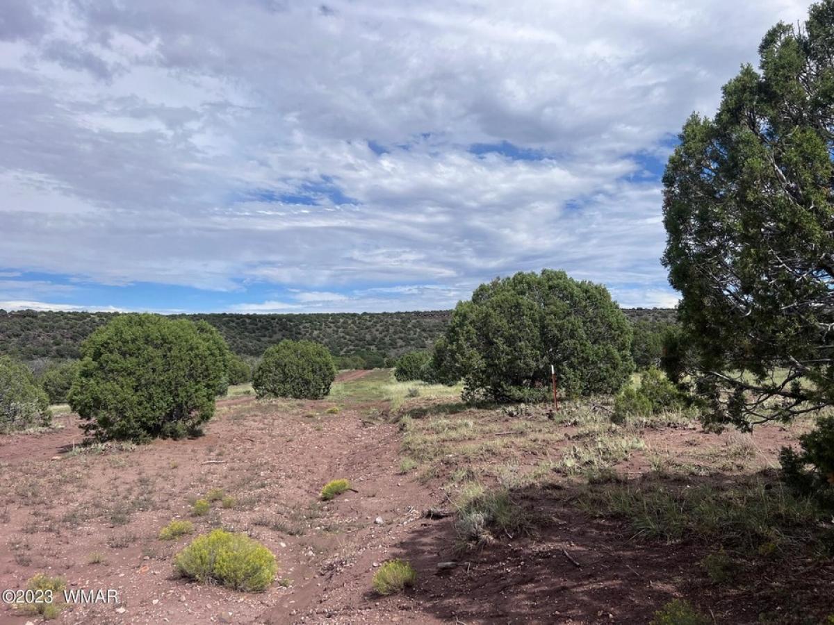 Picture of Residential Land For Sale in Snowflake, Arizona, United States