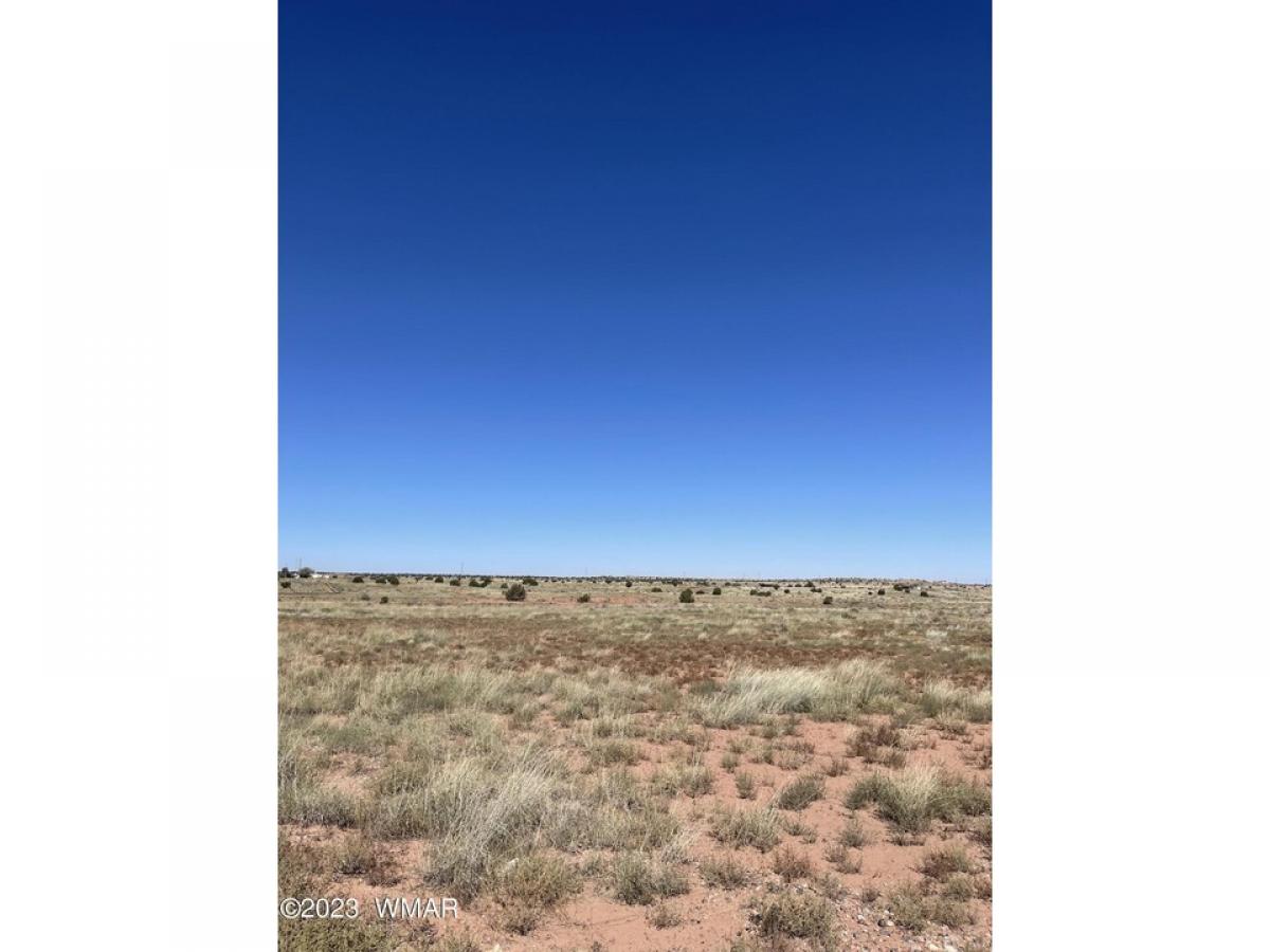 Picture of Residential Land For Sale in Snowflake, Arizona, United States