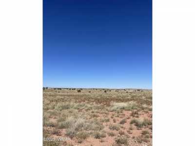 Residential Land For Sale in Snowflake, Arizona