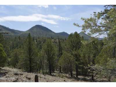 Residential Land For Sale in Nutrioso, Arizona