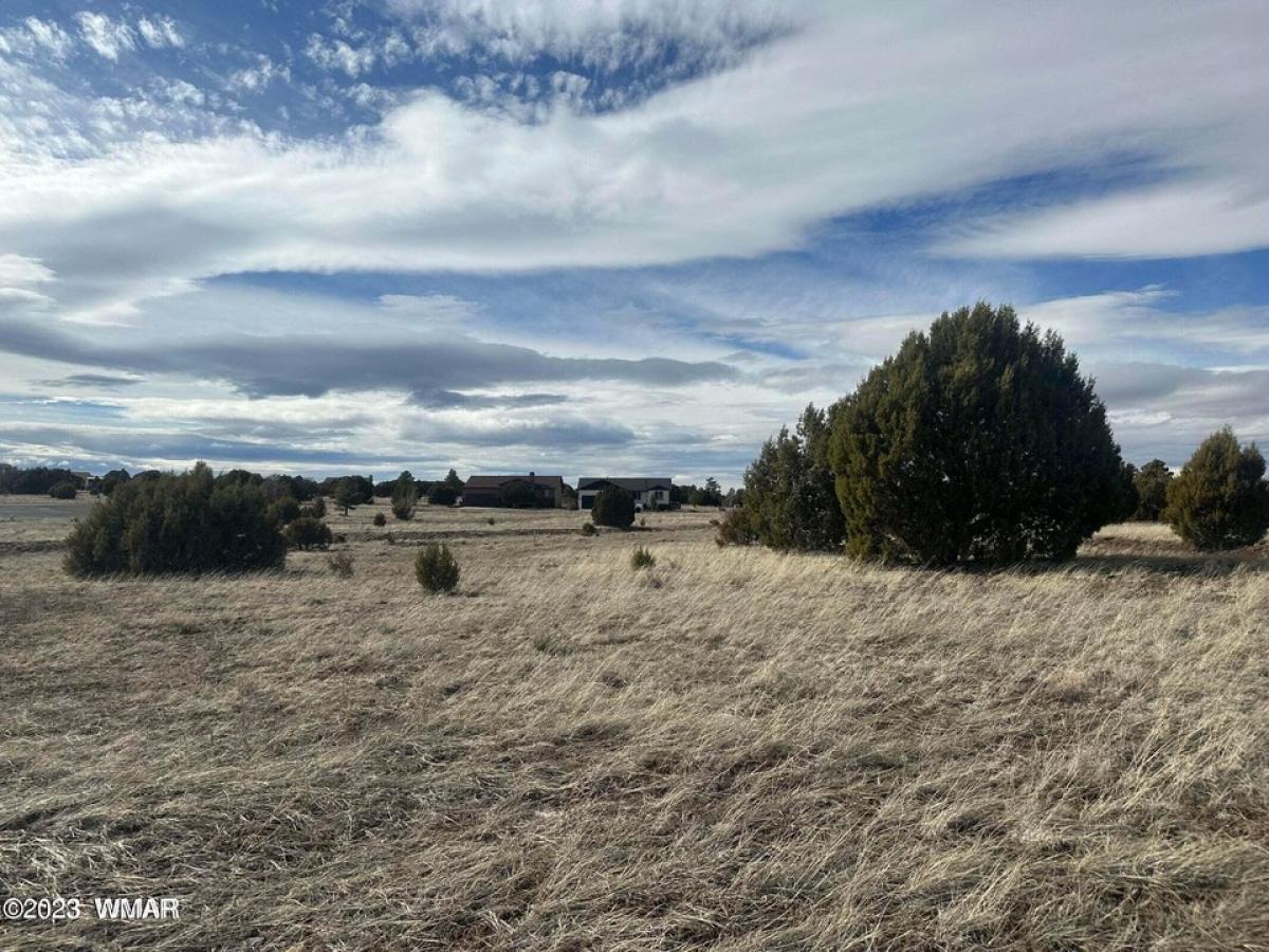 Picture of Residential Land For Sale in Show Low, Arizona, United States