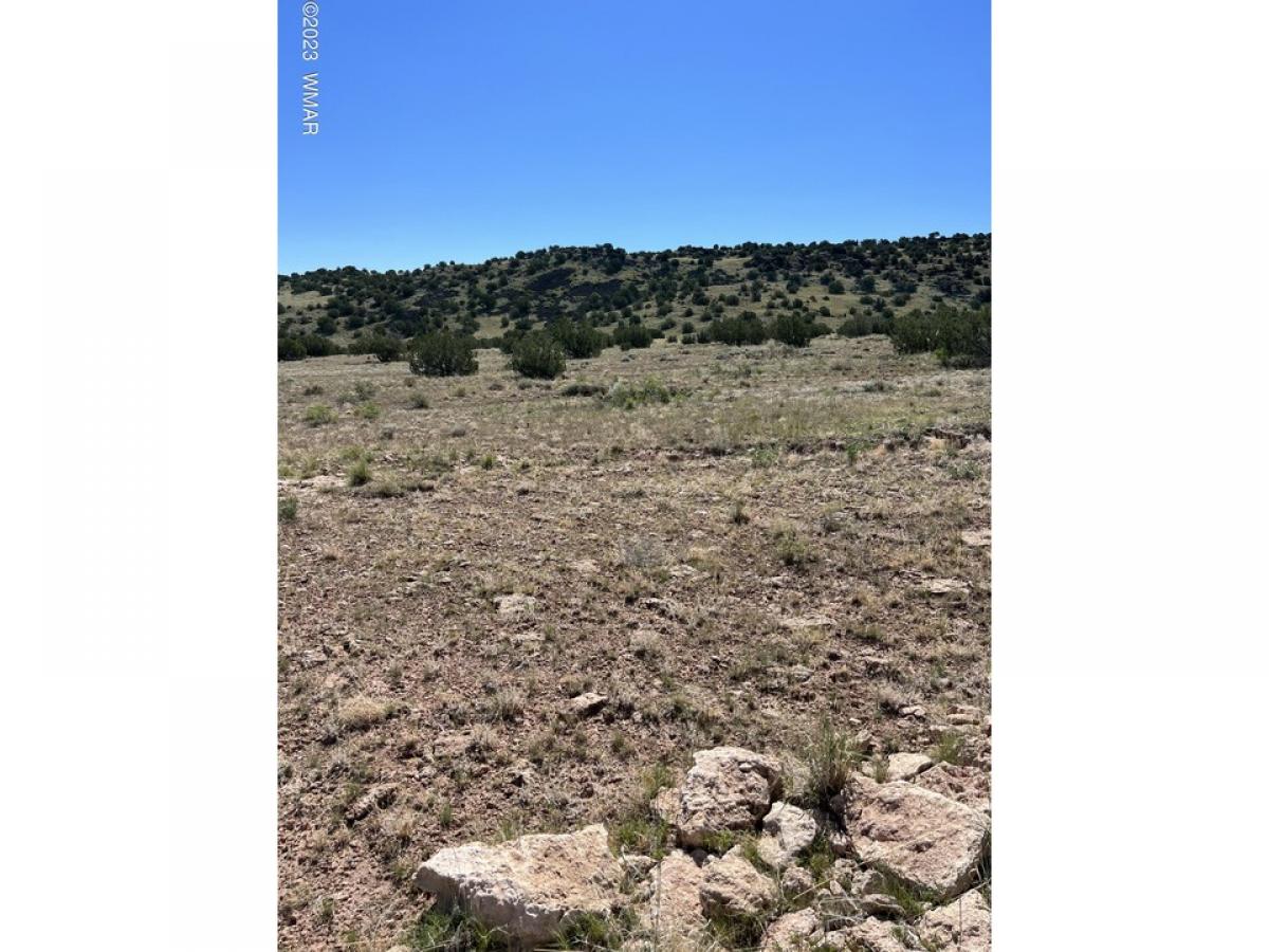 Picture of Residential Land For Sale in Saint Johns, Arizona, United States