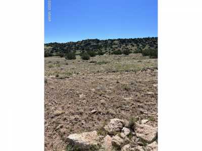 Residential Land For Sale in Saint Johns, Arizona