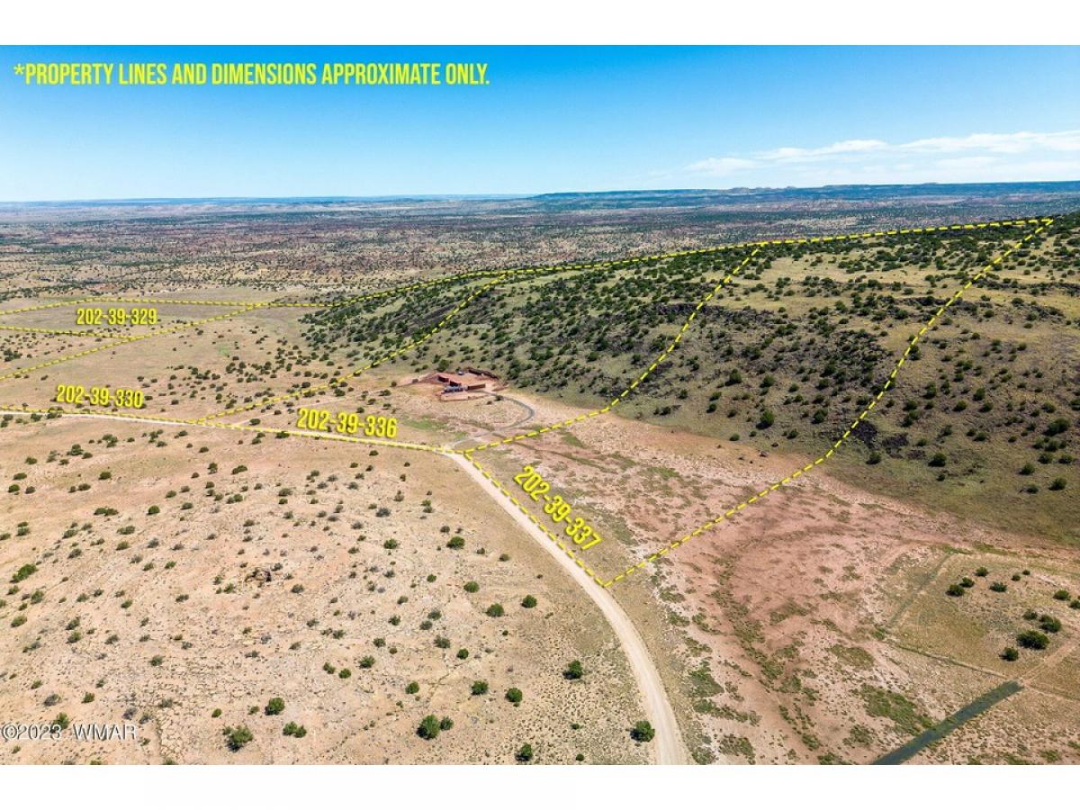 Picture of Residential Land For Sale in Saint Johns, Arizona, United States