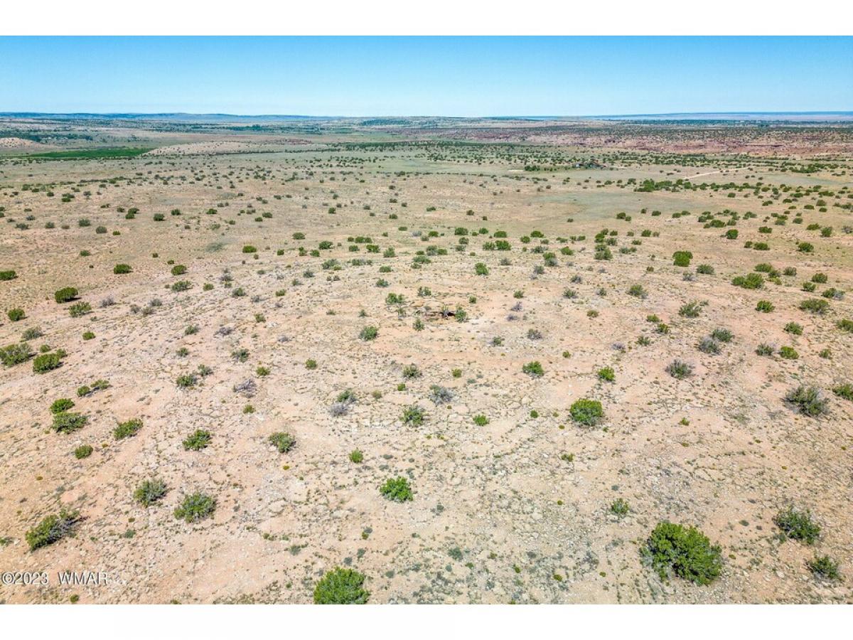 Picture of Residential Land For Sale in Saint Johns, Arizona, United States