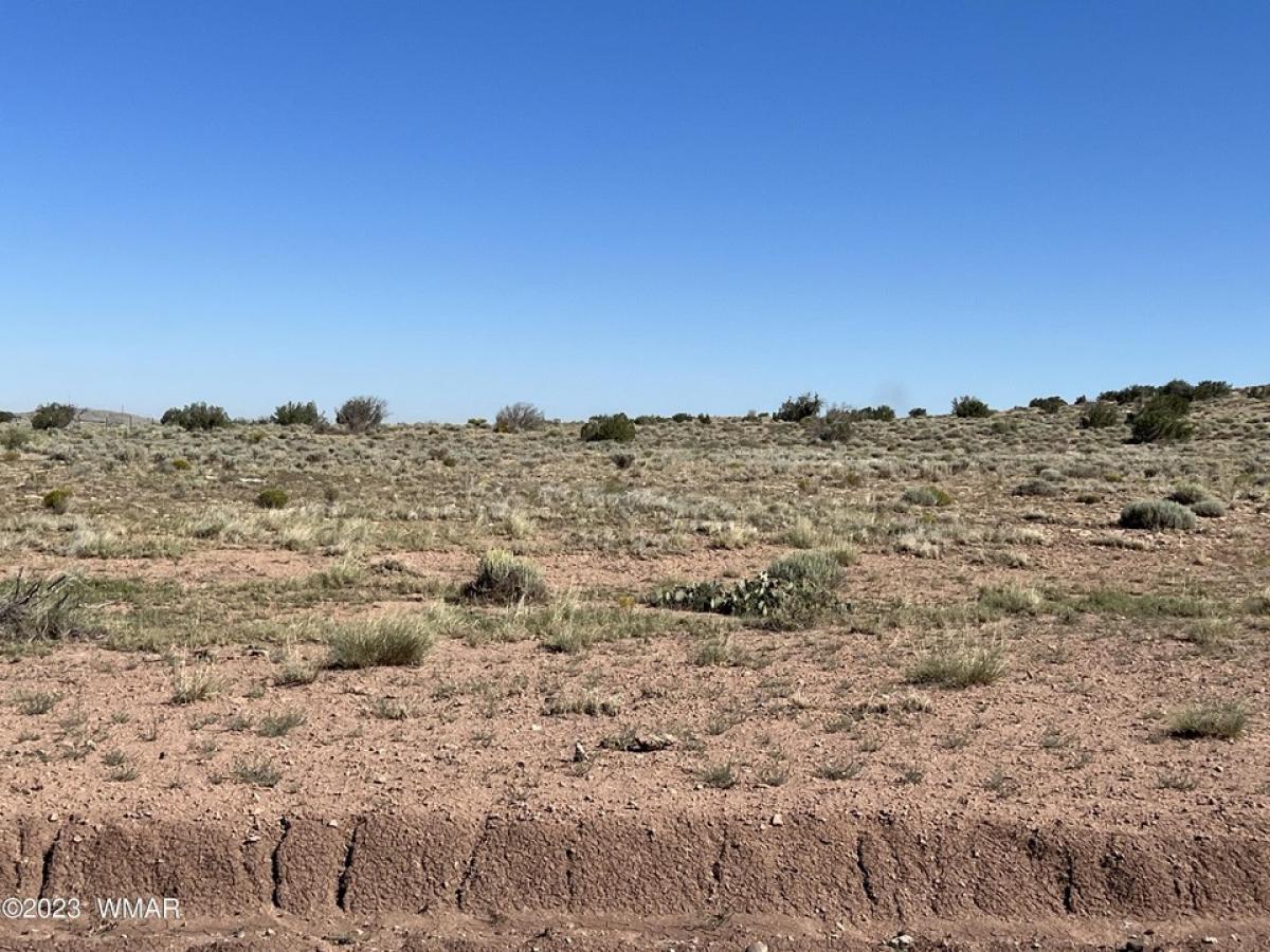 Picture of Residential Land For Sale in Saint Johns, Arizona, United States