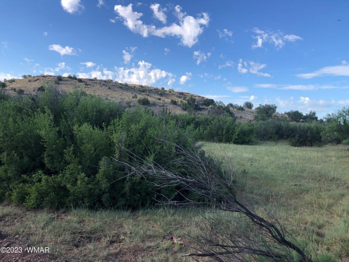 Picture of Residential Land For Sale in Saint Johns, Arizona, United States