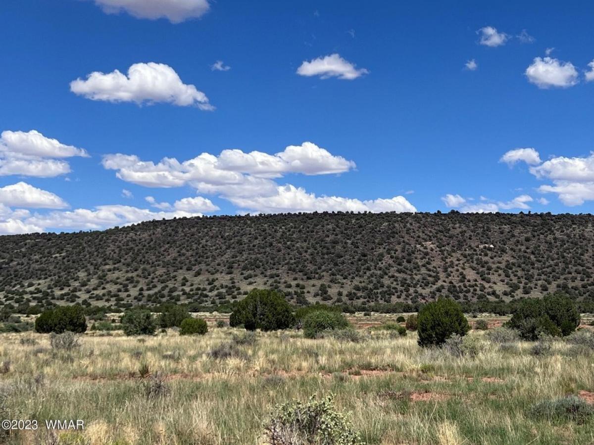 Picture of Residential Land For Sale in Snowflake, Arizona, United States