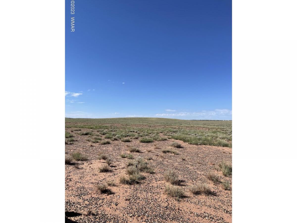 Picture of Residential Land For Sale in Snowflake, Arizona, United States