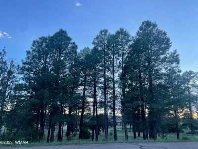 Residential Land For Sale in Overgaard, Arizona