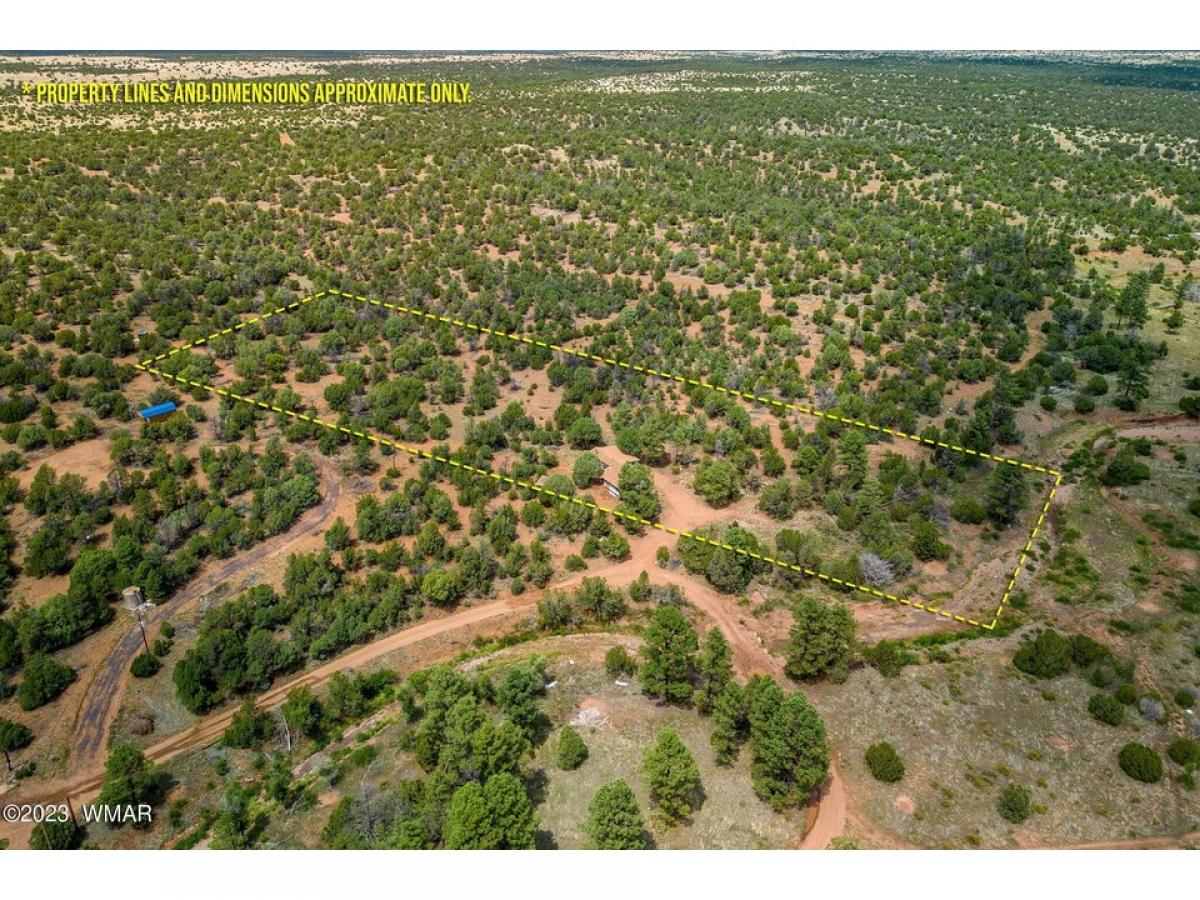 Picture of Home For Sale in Overgaard, Arizona, United States