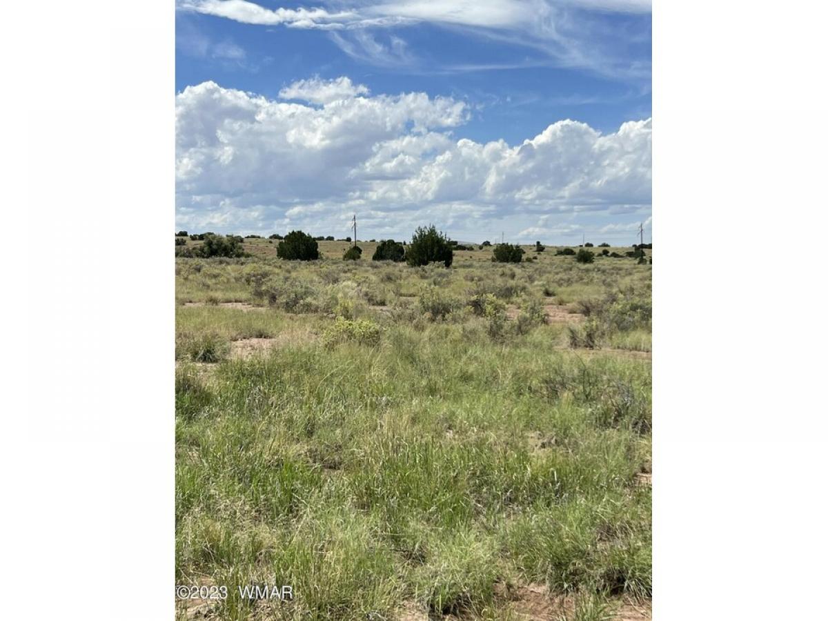 Picture of Residential Land For Sale in Saint Johns, Arizona, United States