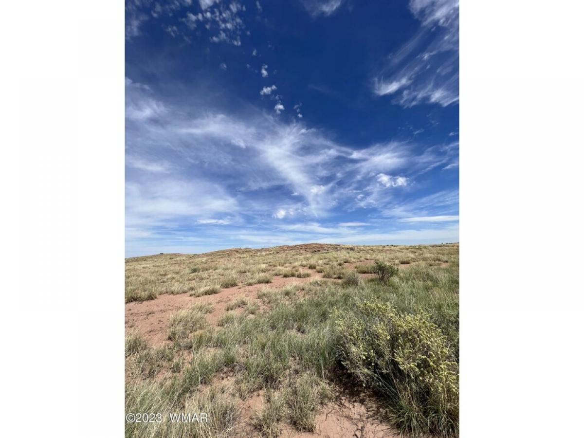 Picture of Residential Land For Sale in Saint Johns, Arizona, United States