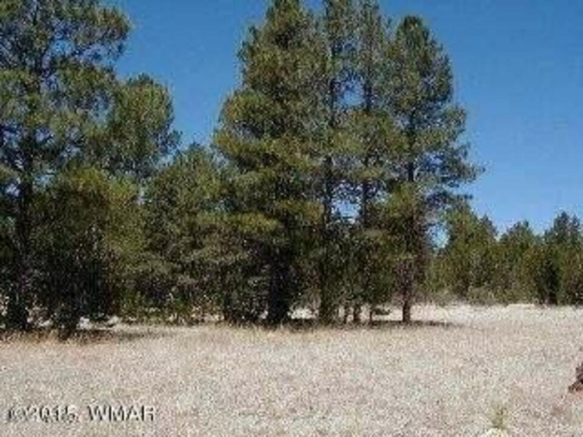 Picture of Residential Land For Sale in Overgaard, Arizona, United States