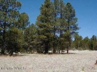 Residential Land For Sale in Overgaard, Arizona