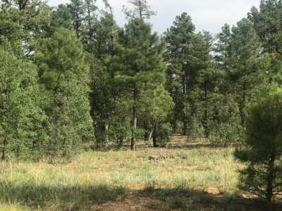 Residential Land For Sale in Show Low, Arizona