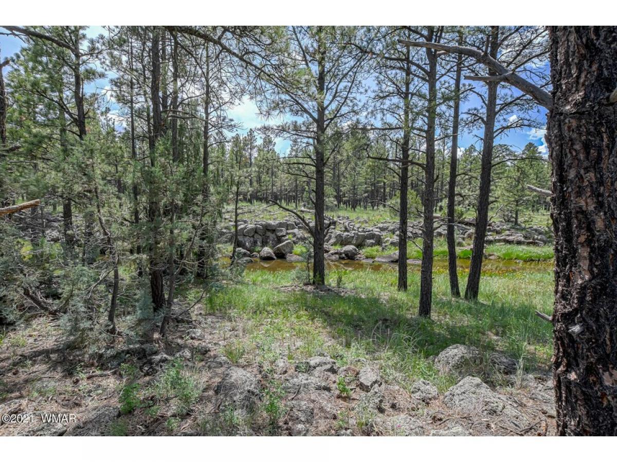 Picture of Residential Land For Sale in Lakeside, Arizona, United States