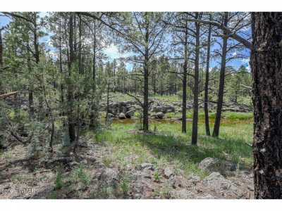 Residential Land For Sale in Lakeside, Arizona