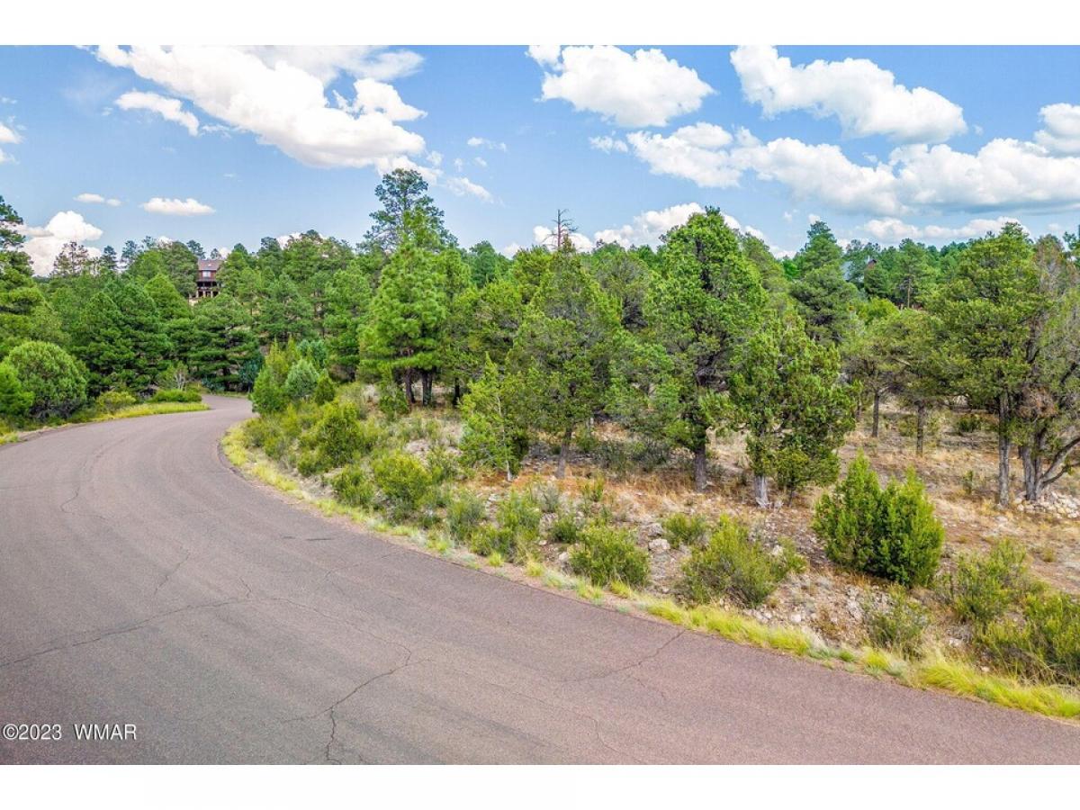 Picture of Residential Land For Sale in Overgaard, Arizona, United States