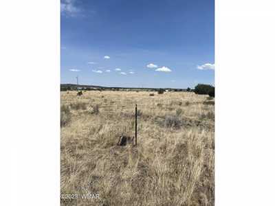 Residential Land For Sale in Nutrioso, Arizona