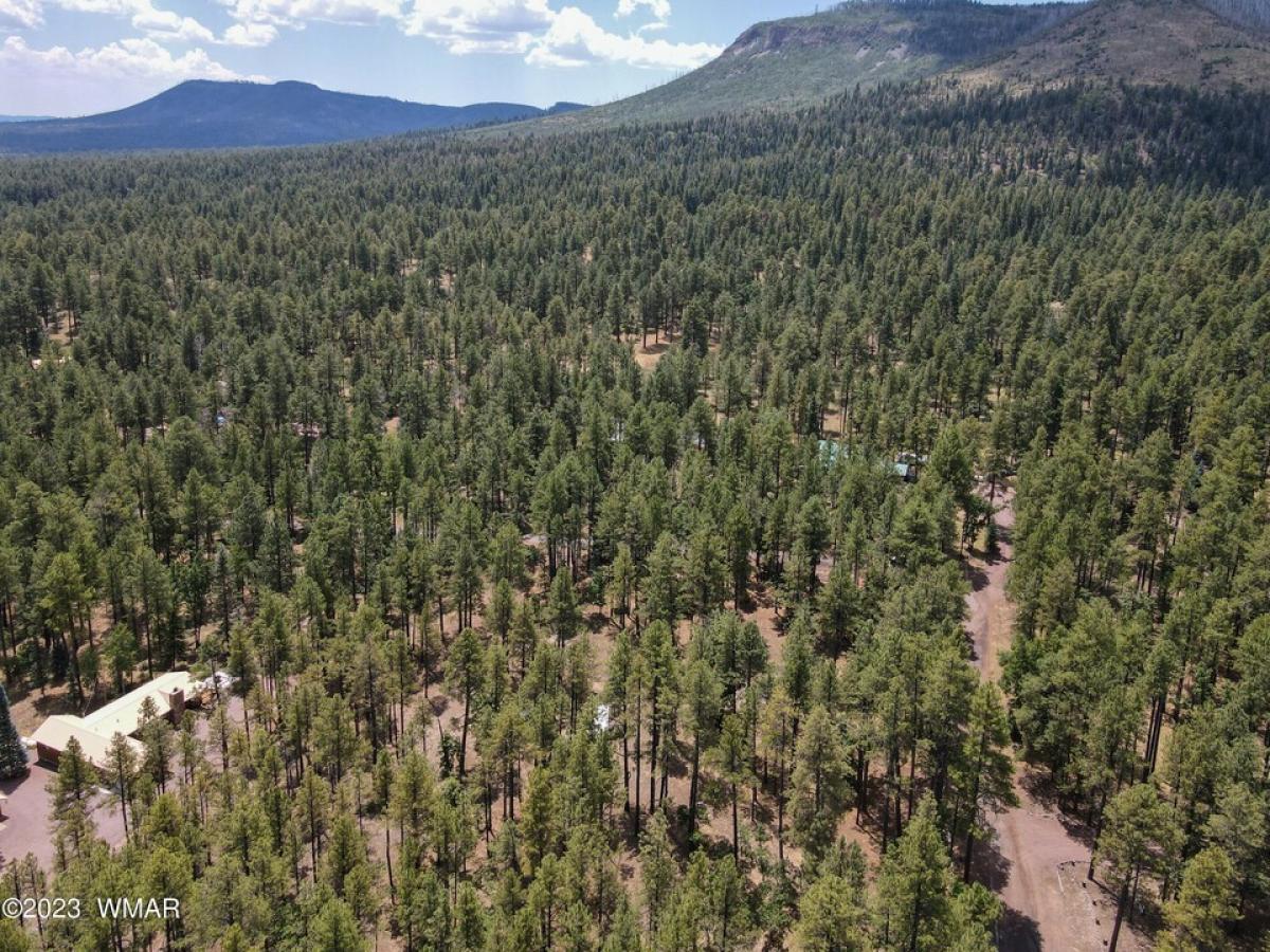 Picture of Residential Land For Sale in Alpine, Arizona, United States