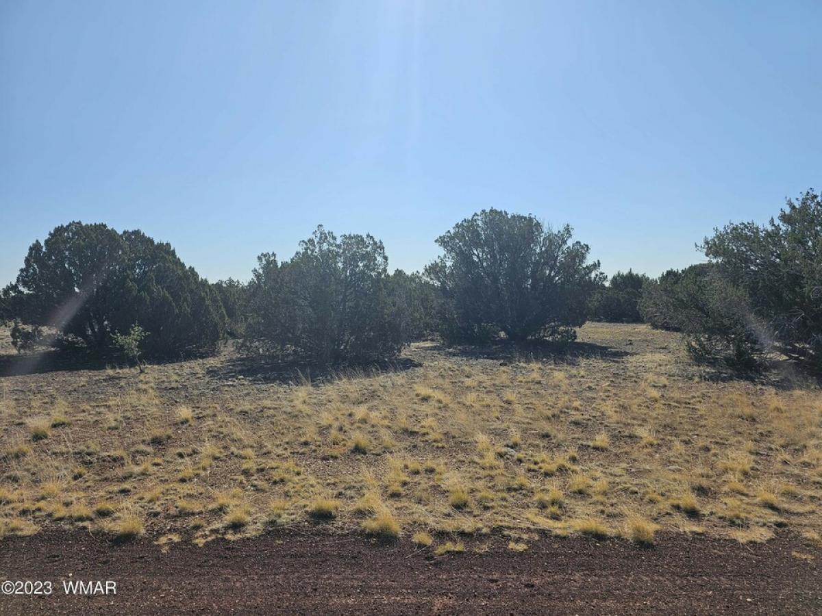 Picture of Residential Land For Sale in Show Low, Arizona, United States