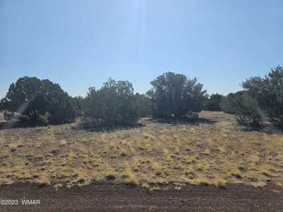 Residential Land For Sale in Show Low, Arizona