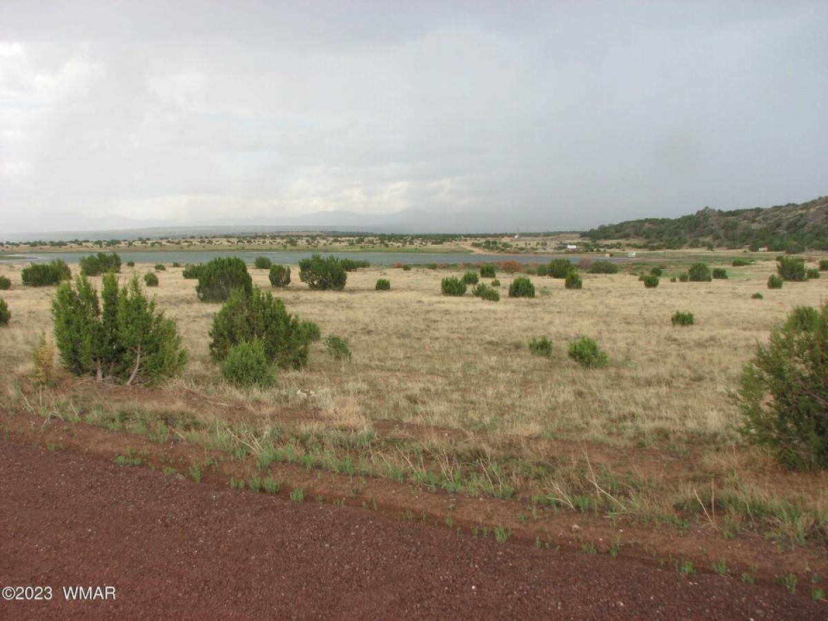 Picture of Residential Land For Sale in Concho, Arizona, United States