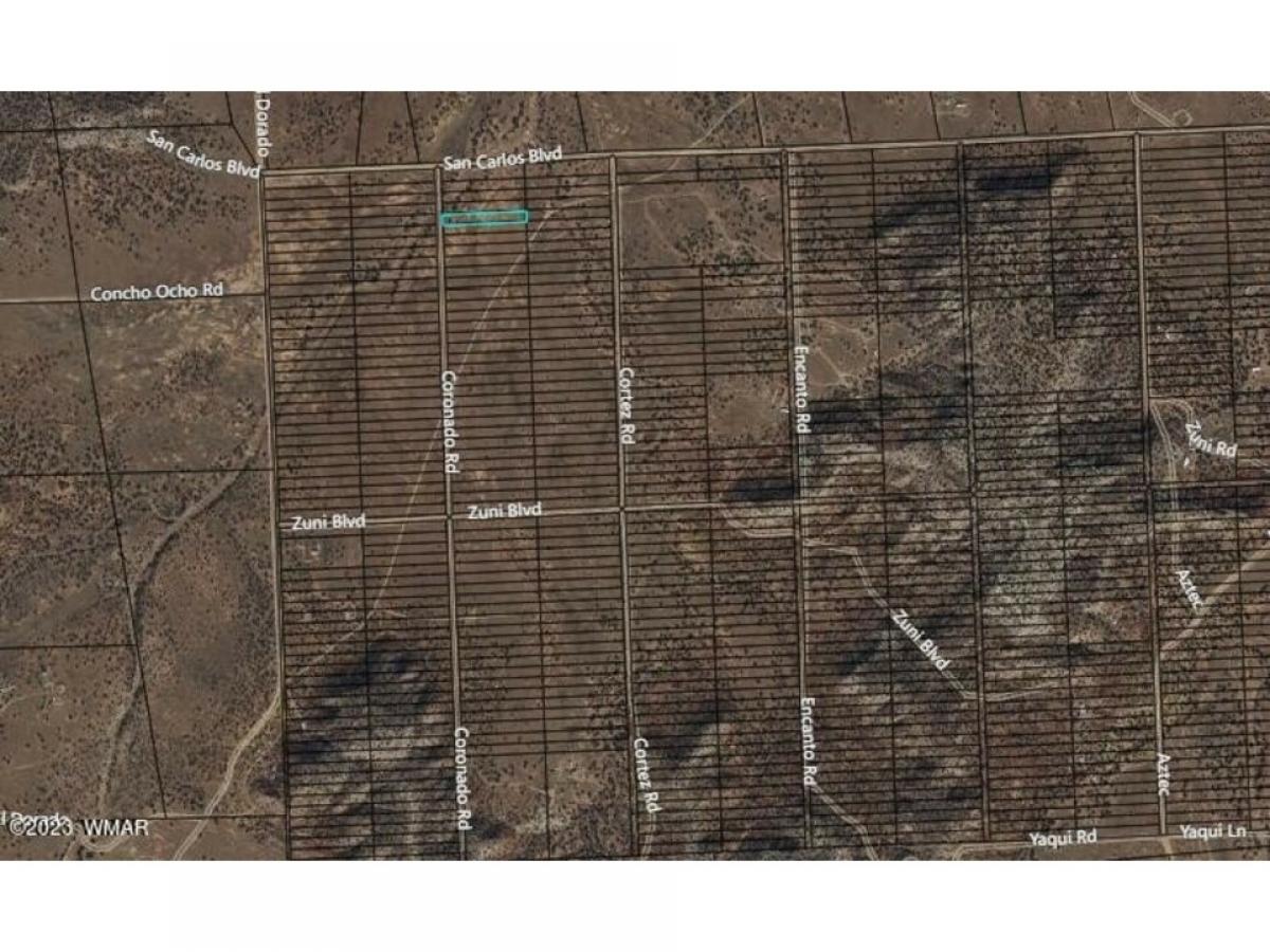 Picture of Residential Land For Sale in Snowflake, Arizona, United States