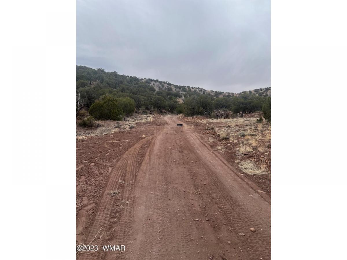 Picture of Residential Land For Sale in Concho, Arizona, United States