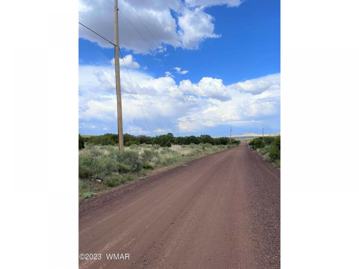 Picture of Residential Land For Sale in Concho, Arizona, United States