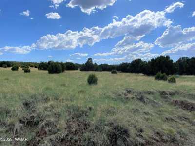 Residential Land For Sale in Concho, Arizona