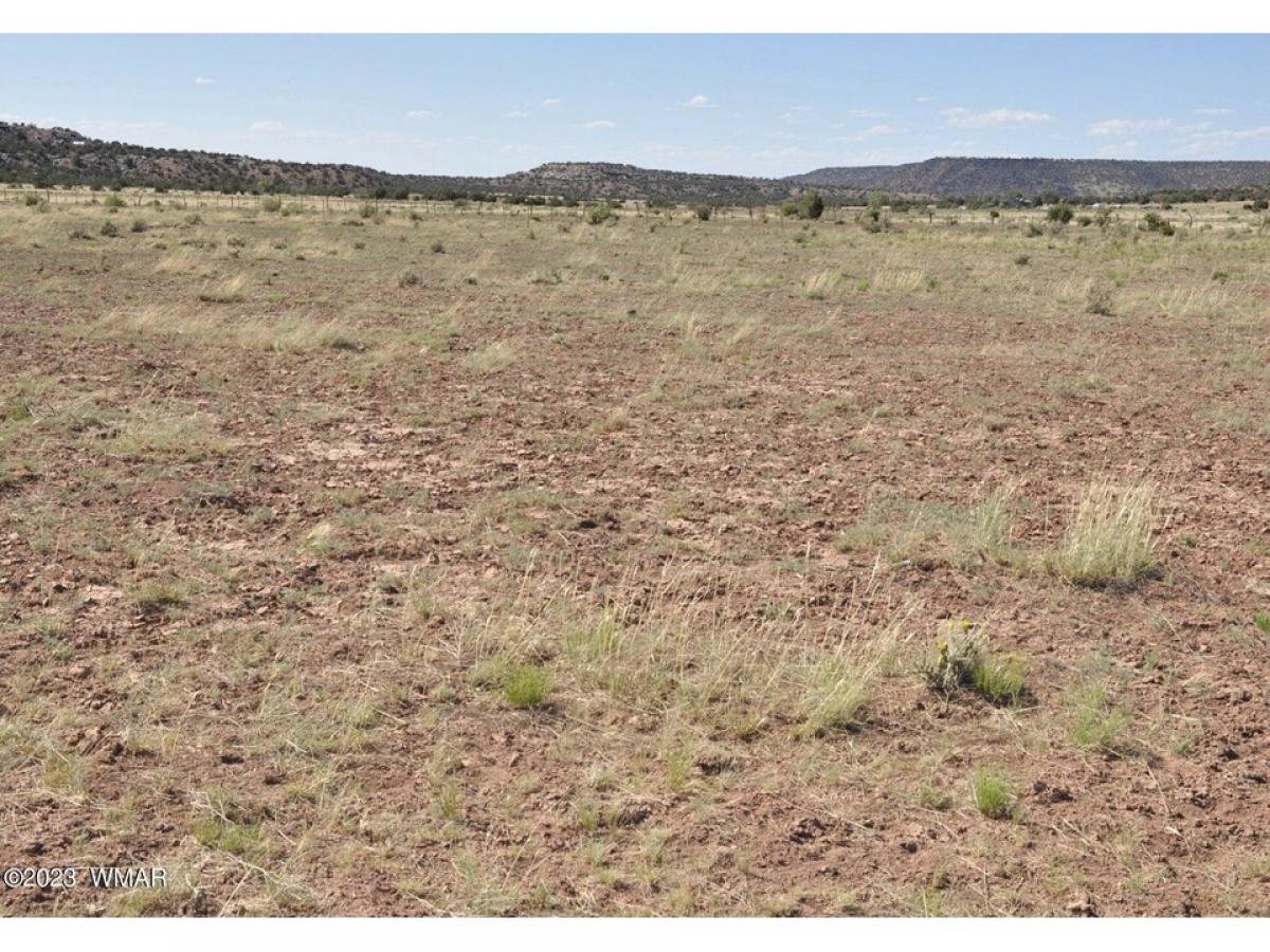 Picture of Residential Land For Sale in Snowflake, Arizona, United States