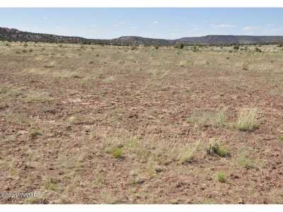 Residential Land For Sale in Snowflake, Arizona