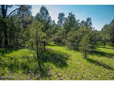 Residential Land For Sale in Nutrioso, Arizona