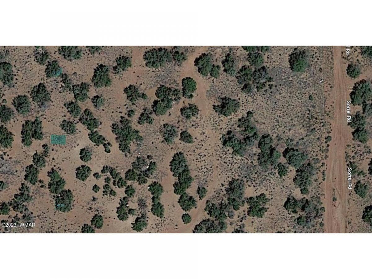 Picture of Residential Land For Sale in Snowflake, Arizona, United States