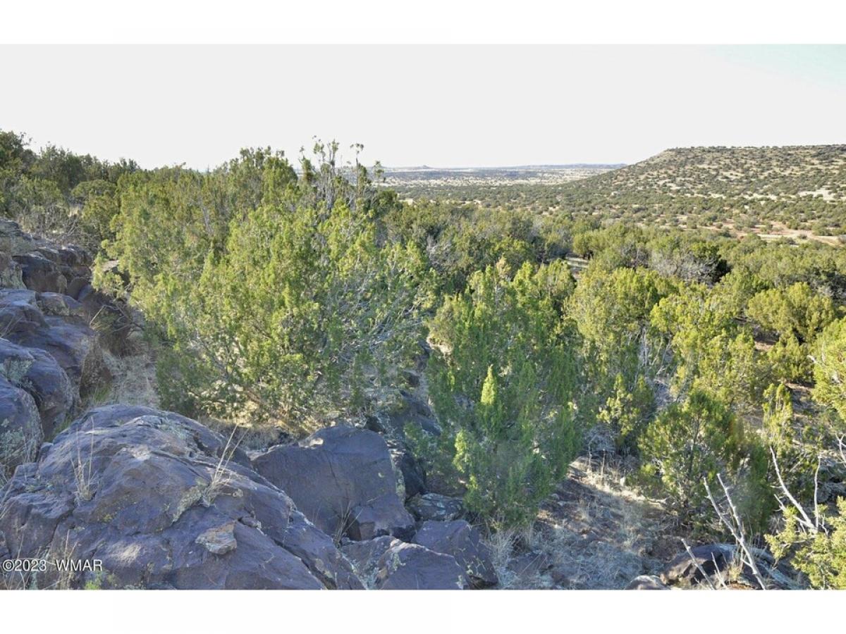 Picture of Residential Land For Sale in Show Low, Arizona, United States